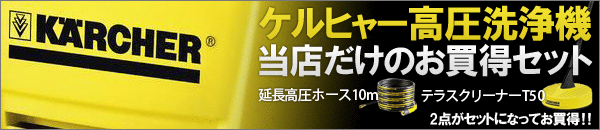 延長ホース10mやテラスクリーナーがセットになってお買得