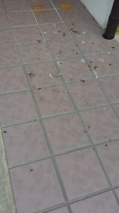 20150315_165410