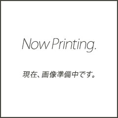 リョービ 別売りアクセサリー | 商品一覧 | 高圧洗浄機の専門店