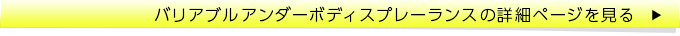 この商品の詳細ページを見る